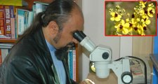 Muş'ta Keşfedilen Yeni Bitki Türü, Yeni Zelanda'da Tanıtılıyor