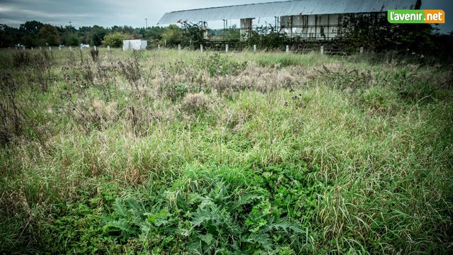 L'Avenir - Foot UrBex : le SRU Verviers