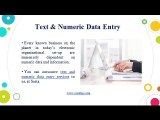 Text & Numeric Data Entry, India | Sasta Outsourcing Services