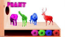 Learn Colors Baby Zoo Wild Safari Animals Surprise Eggs Wrong Soccer Balls Nursery Rhymes Fun Kids-Axy6WgfxDrI