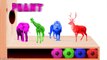Learn Colors Baby Zoo Wild Safari Animals Surprise Eggs Wrong Soccer Balls Nursery Rhymes Fun Kids-Axy6WgfxDrI