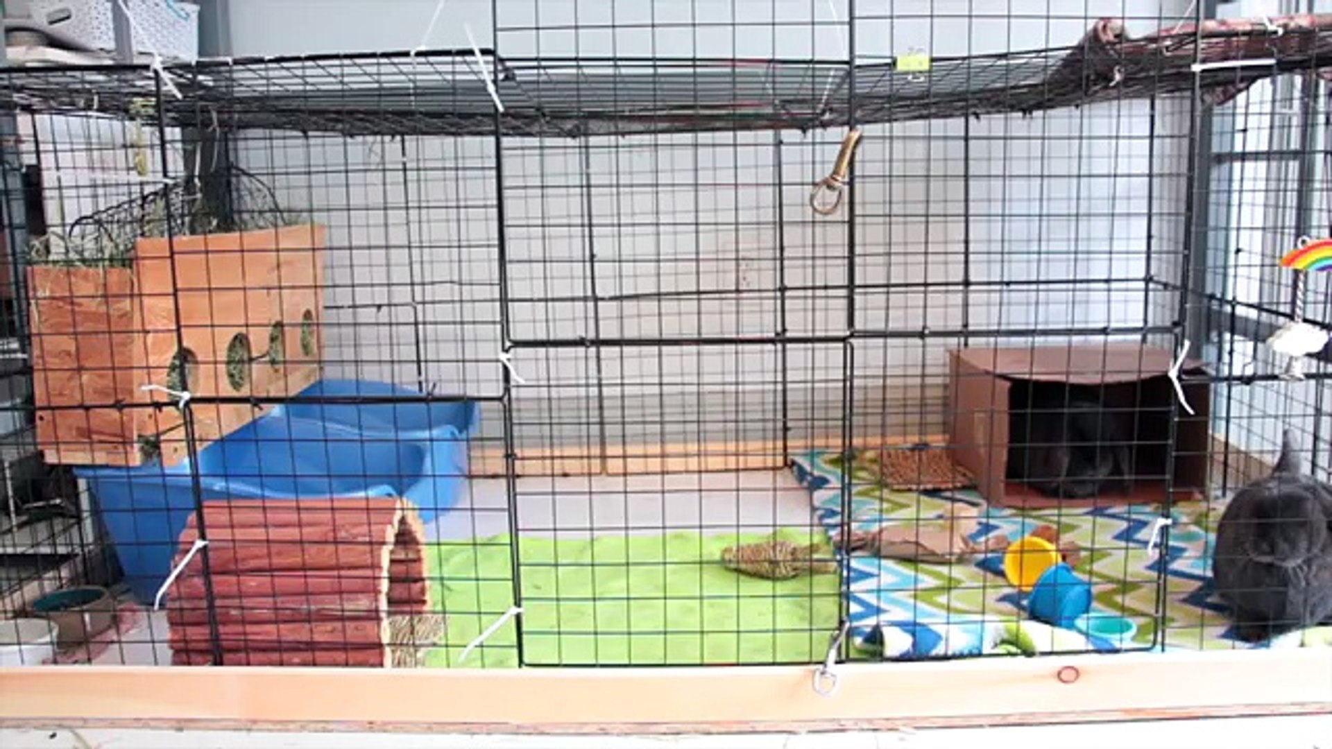 ⁣How I Built My DIY Rabbit Cage