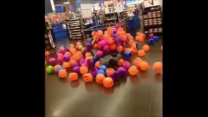 5秒で笑える!爆笑動画集wwww-SSijXlY6TCk