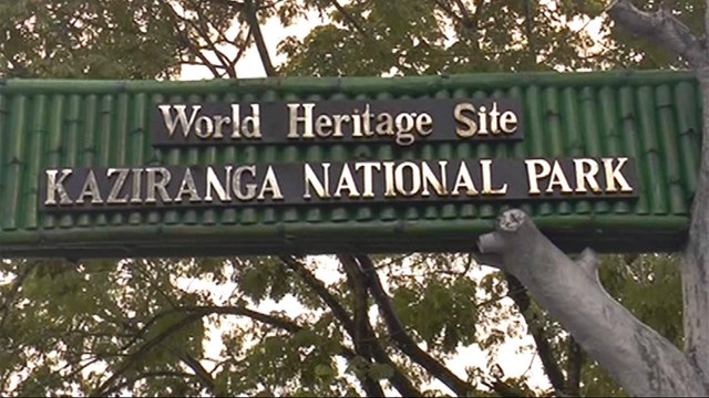 India: Flood-struck Kaziranga national park reopens