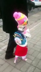 Okula Giden Sevimli Köpek.Aso ve Paylaşımları