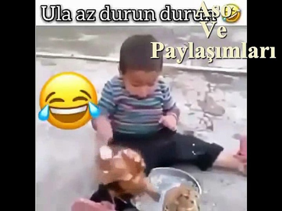Kürtçe Dublaj Terbiyesiz Tavuklar Çocuğun Yemeğini yiyorlar.Aso ve Paylaşımları