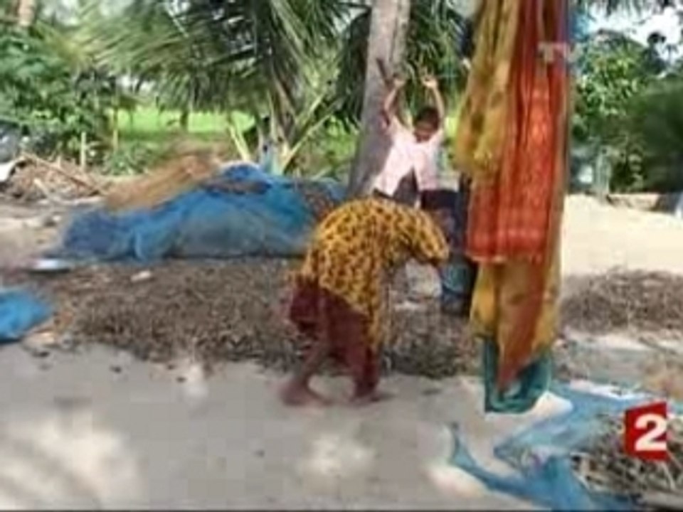 L'Inde sous l'eau
