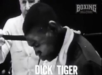 Dick Tiger beats Giardello This Day in Boxing History October 21, 1965