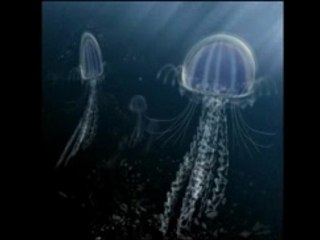 Christophe Dupin DemoReel 2007