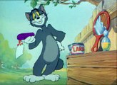 Tom & Jerry 01 A Jampi Macska