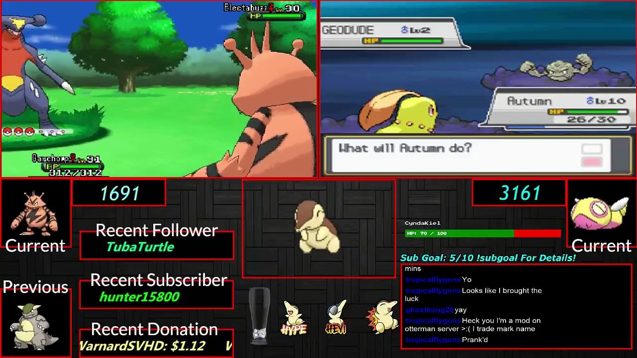 Pokemon X and Y Friend Safari Shiny Hunt Shiny Electabuzz