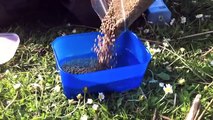 Fishing The Method Feeder For Carp & Tench - Part One
