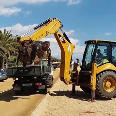Une tortue géante s'échoue près de Barcelone, une pelleteuse doit venir enlever l'animal de près de 700 kilos