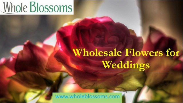 Wholesale Flowers for Weddings - wholeblossoms.com