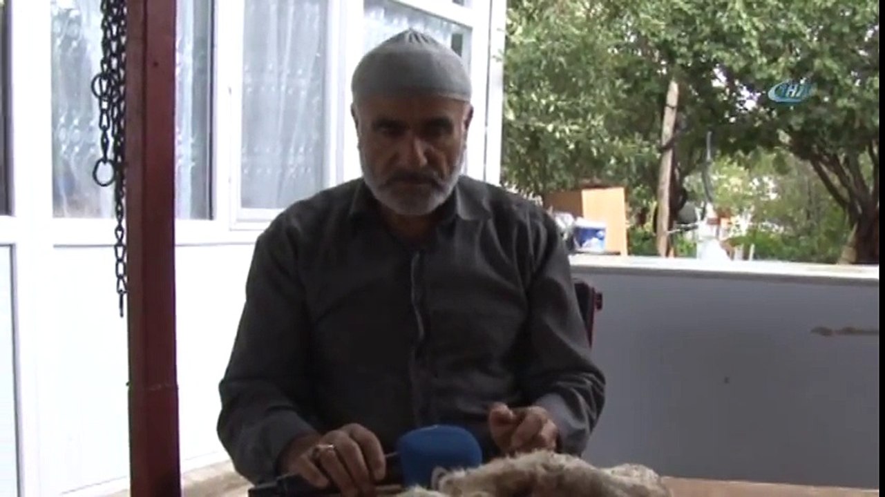 Çift Başlı Doğan Kuzu Görenleri Şaşırttı