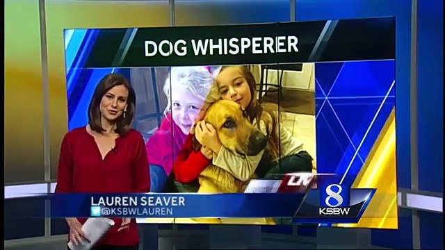 Belle vidéo du jour : après plusieurs mois d’errance, cette chienne se fait conquérir par une petite fille.