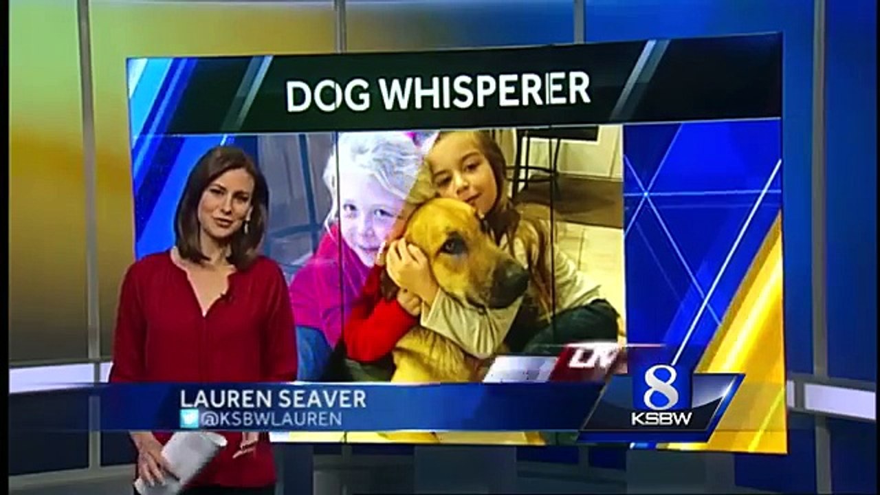 Belle vidéo du jour : après plusieurs mois d’errance, cette chienne se fait conquérir par une petite fille.