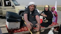 فرار 12500 شخص من القتال في الحويجة العراقية