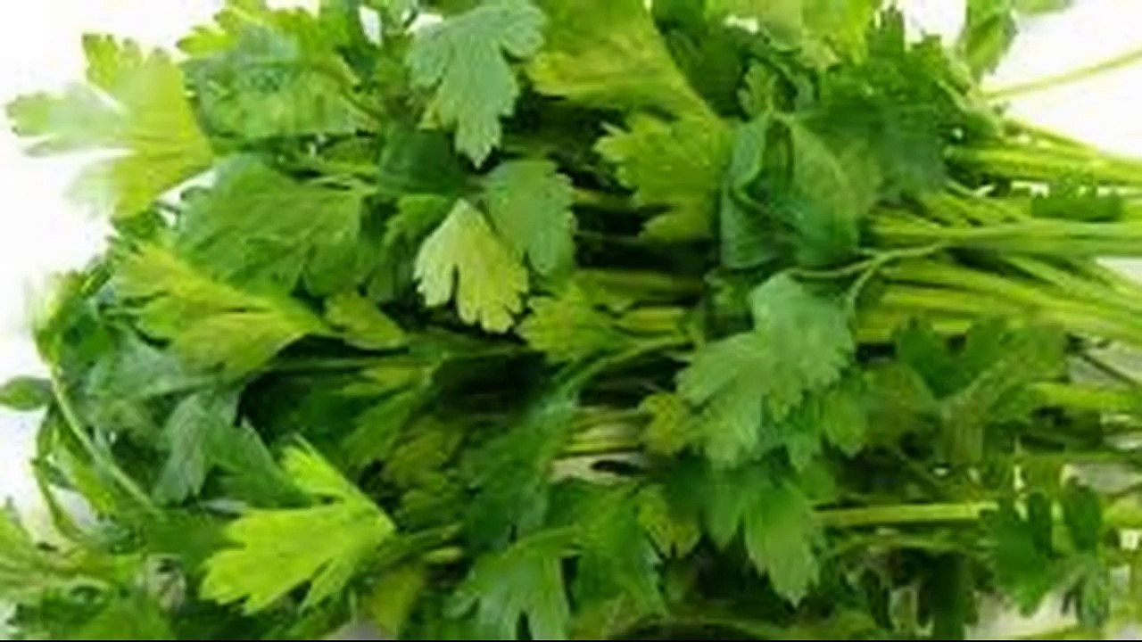 تنظيف الجسم مرض الكلى غذاء لا دواء