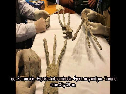 Les Grandes Mains - Les Etres mystérieux de Nasca - 6a - Spécimens