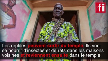 Journée mondiale : ces animaux sacrés que l’on ne soupçonne pas