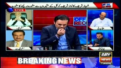 Raza Hayat says those statements should be made that should strengthen institutions