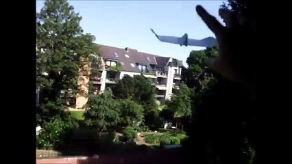 Papp-Teller-Taube 2.0 / Paper Plate Dove 2.0