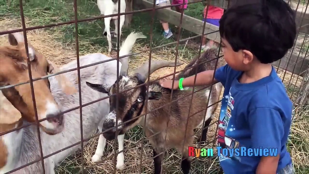 Kids Family Fun Trip to the Farm and Childrens Museum! Play Area Children Activities