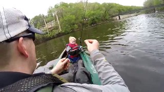 Kayak fishing for shad and fishing for catfish - Catfishing with shad - catch shad with lures