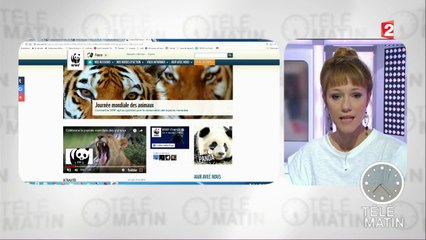 Mercredi 4 octobre, journée mondiale des animaux