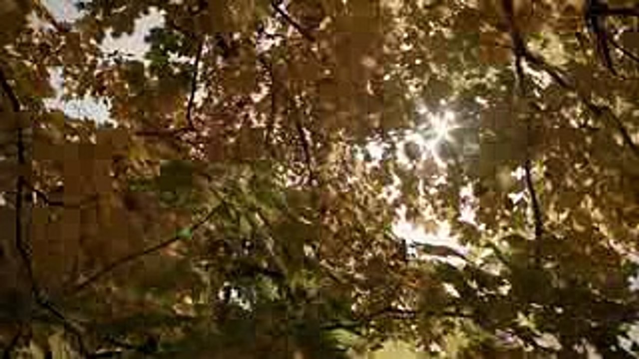 Old Fashioned Official Trailer 1 (2015) - Romance Movie HD
