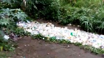 Rivière de bouteilles en plastique (Guatemala)