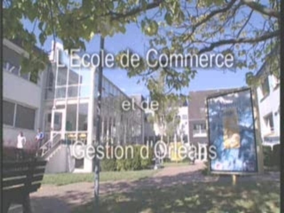 Séminaire "Business Attitude" - ECG Orléans