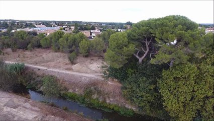 Codognan Fouilles archéologiques du Rhôny