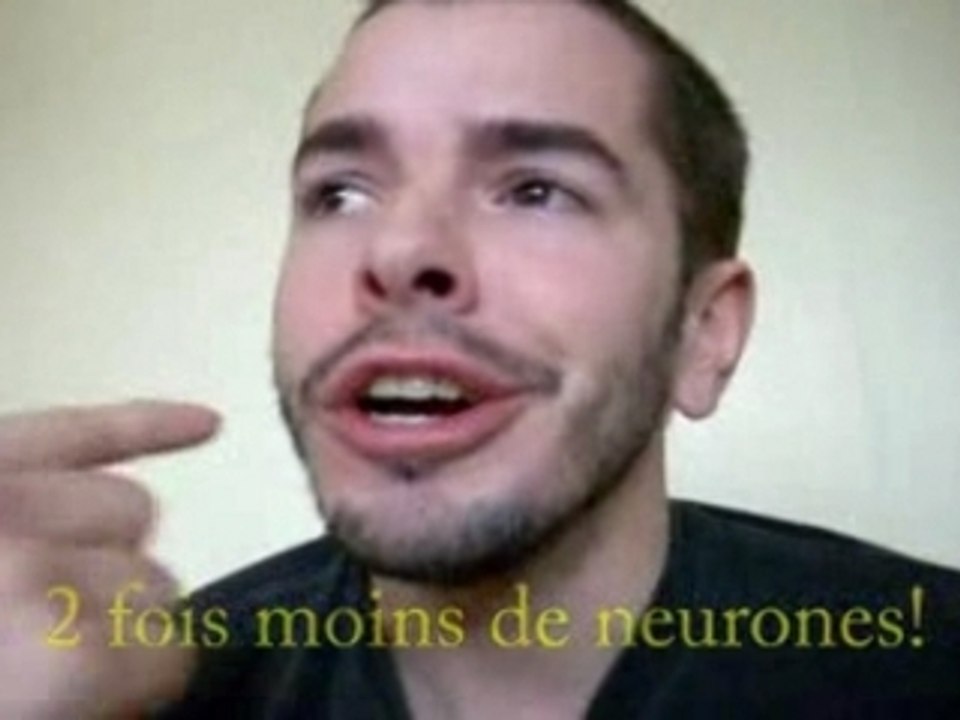 Cours de langue