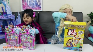 FROZEN Elsa & Anna WET HEAD Challenge!