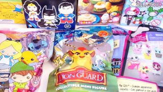 Surprise Blind Bag Marathon 22 - Part3 - Lion Guard, Gudetama, Hello Kitty, LPS, Kidrobot and MORE!