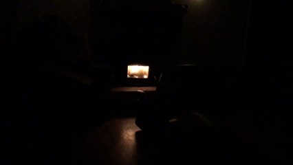 When a Bear Just Wants to Come Inside