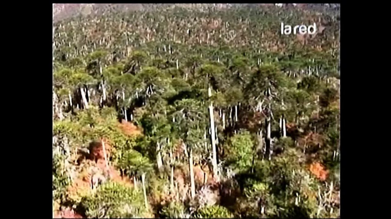 tierra ojo del condor  bio bio p 2