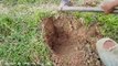 Amazing Brave Sister And Brother Catch Big Snake By Digging Hole - How To Catch Snake By Digging