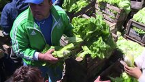 Argentina: productores agrícolas protestan por importaciones