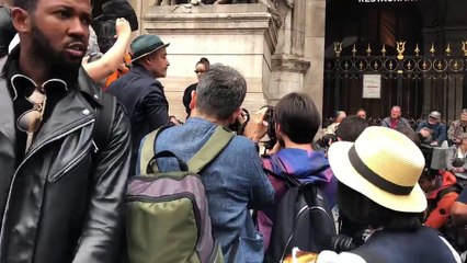 clip rừng ống kính đổ về Maya