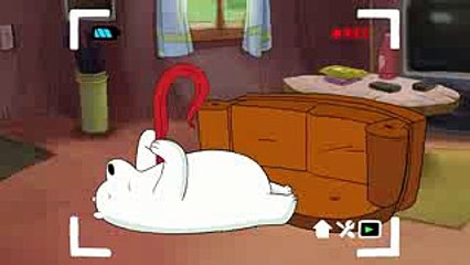 Kafadar Ayılar I Ayılarla Tanışma - Kutup I Cartoon Network