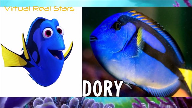 Finding Dory REAL LIFE All Charers #VirtualRealStars