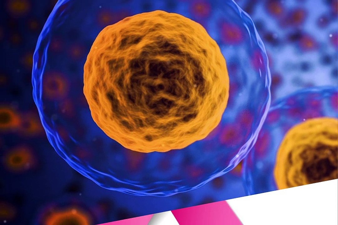 ¡SÉPALO! - Daniel Edgardo Rangel Baron - 10 formas de prevenir la enfermedad del cáncer