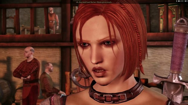 Dragon Age Origins- Giving Leliana flowers