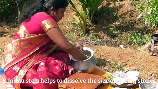 HOME REMEDY FOR KIDNEY STONES | GALL BLADDER STONE | COOKING PLANTAIN STEM