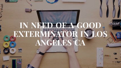 OCP - Certified Bed Bug Exterminator in Los Angeles CA