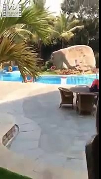 Yuvraj Singh Pranks Shikhar Dhawan On April Fool s Day Six Sigma Films