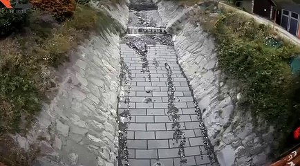 압구정홀덤010-7452-6966 콜@@@